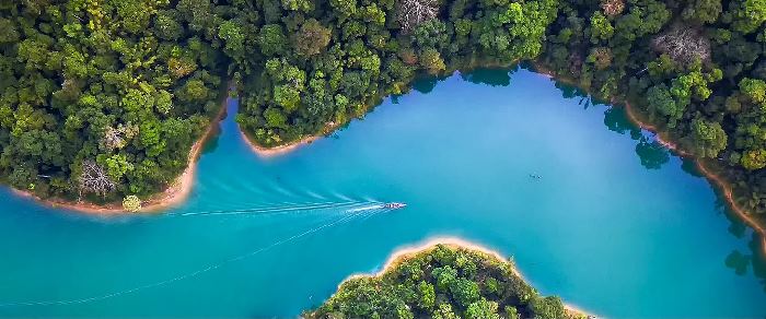 A boat cruising down a river