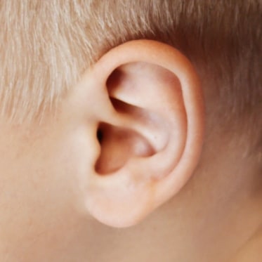 ear